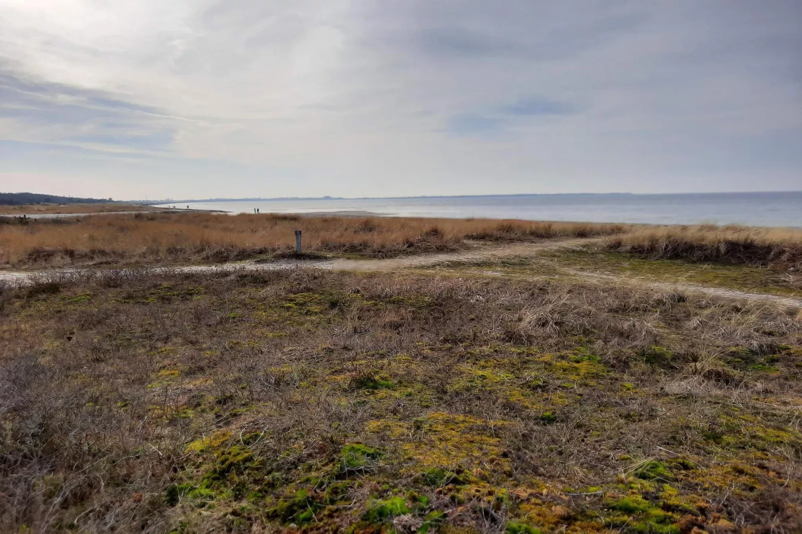 8 person holiday home in Store Fuglede-By Traum-Untagged