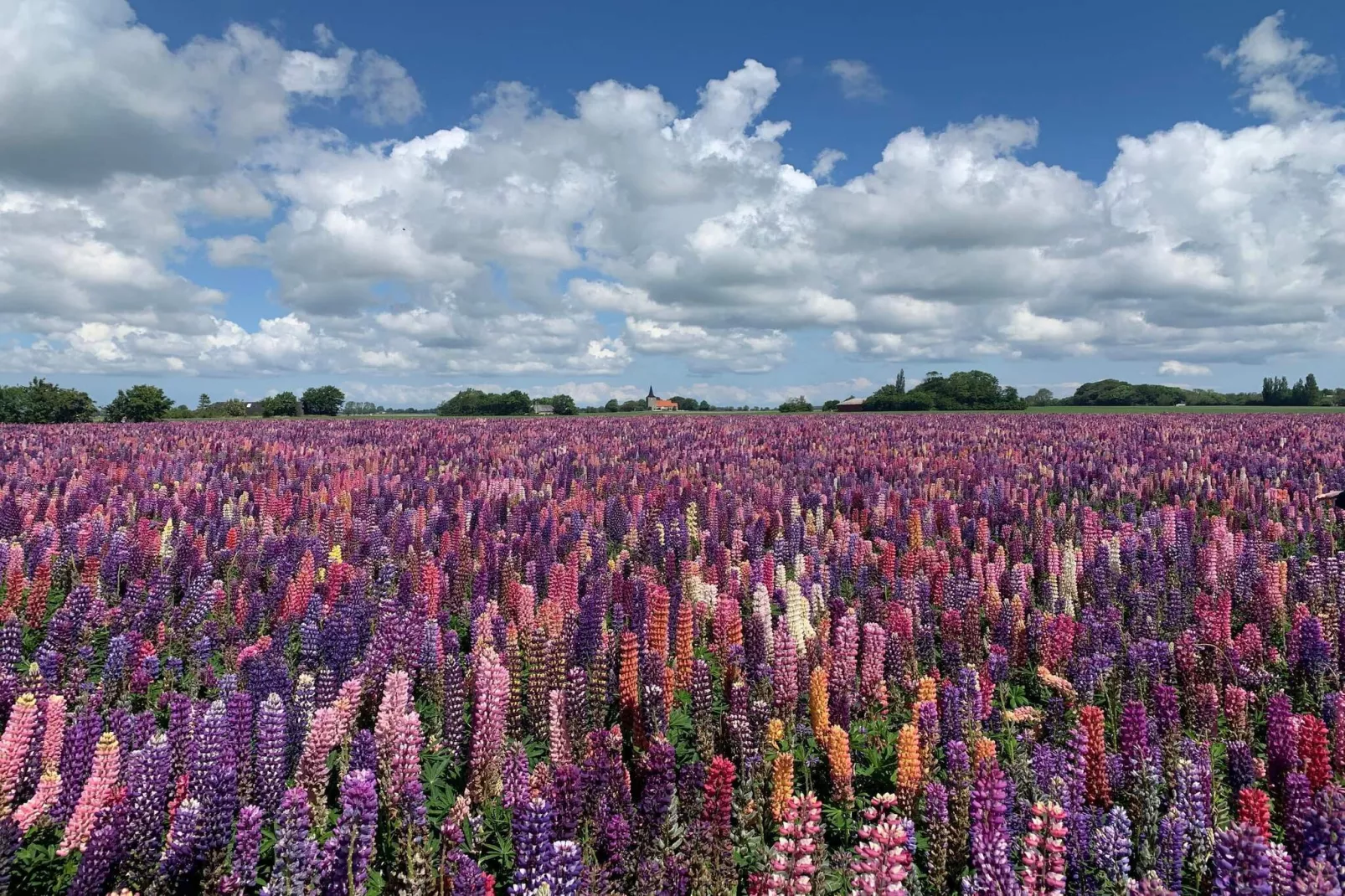 Luxurioses Spa-Retreat in Lolland -- By Traum Ferienwohnungen