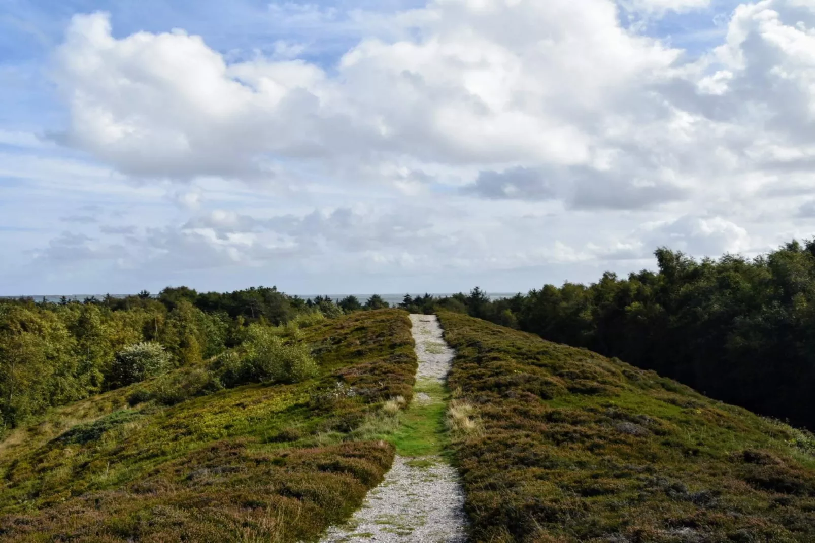 6 person holiday home in Thyholm-By Traum-Untagged