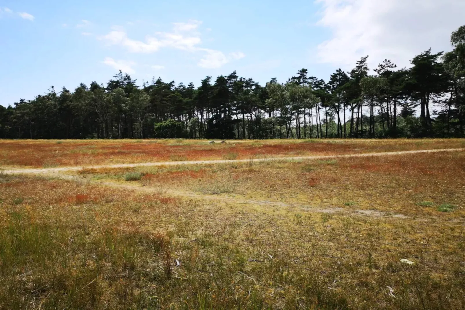 Maison de vacances pour 6 a Væggerløse-By Traum-Non tagué