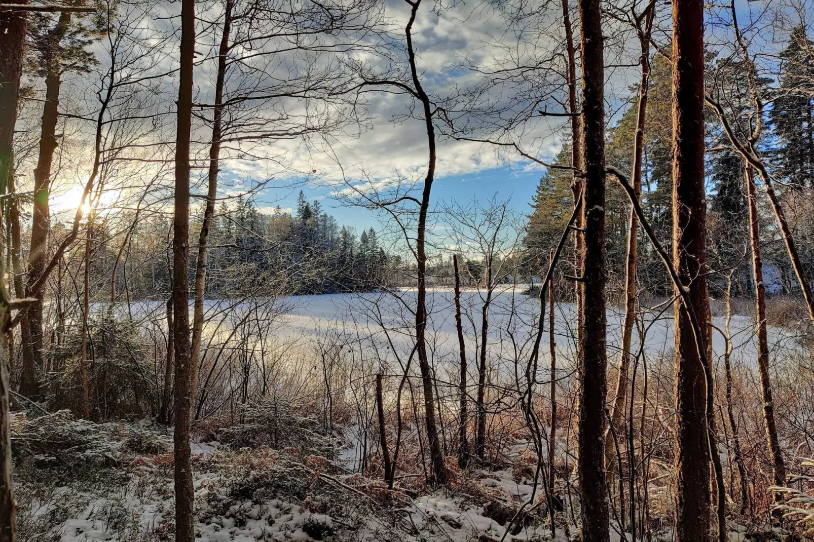 Gîte avec jacuzzi à Rejmyre-Vue sur l'eau