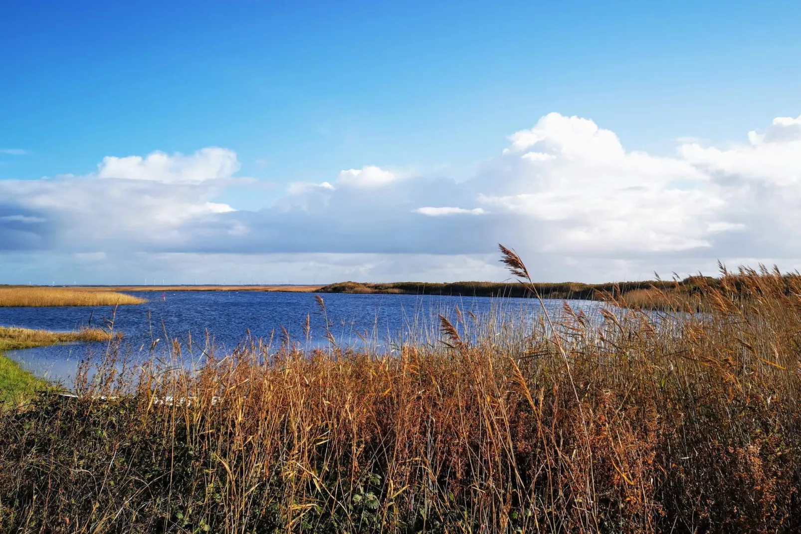 Maison de vacances pour 8 a Ulfborg-By Traum-Vue sur l'eau
