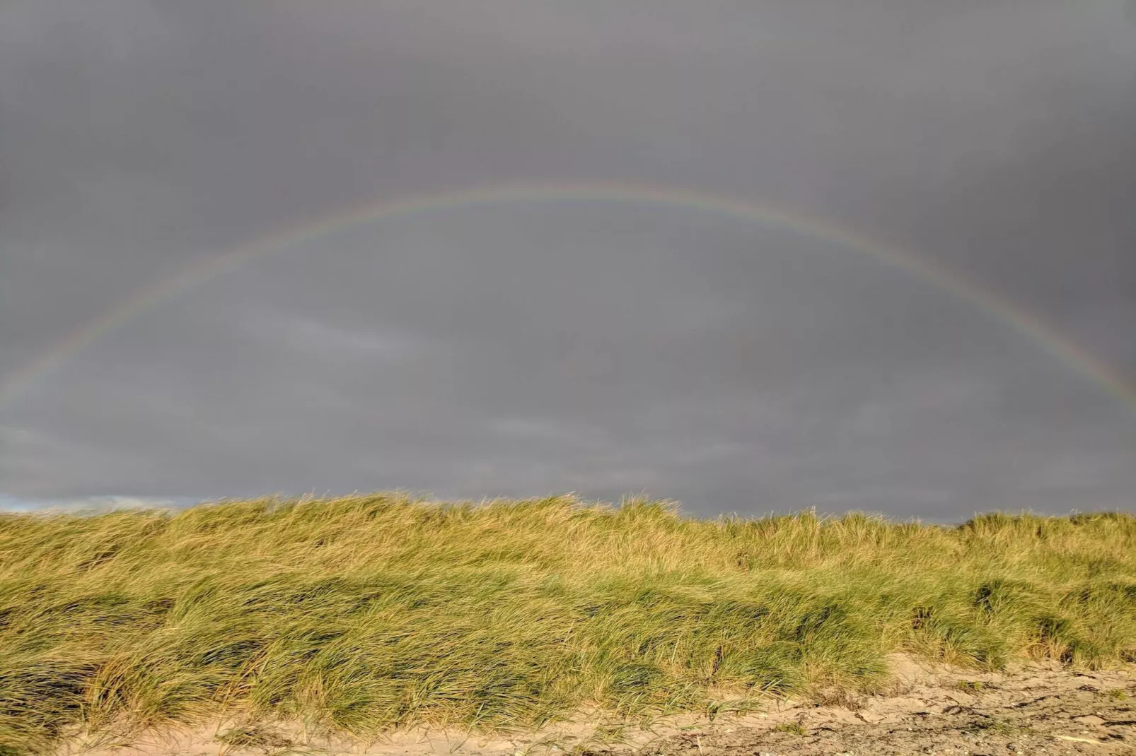 4 Personen Ferienhaus in Rødby-By Traum