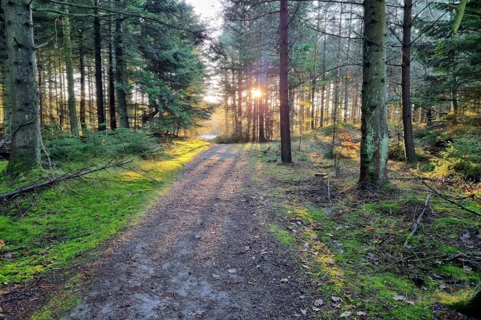 Maison de vacances pour 12 a Pandrup-By Traum