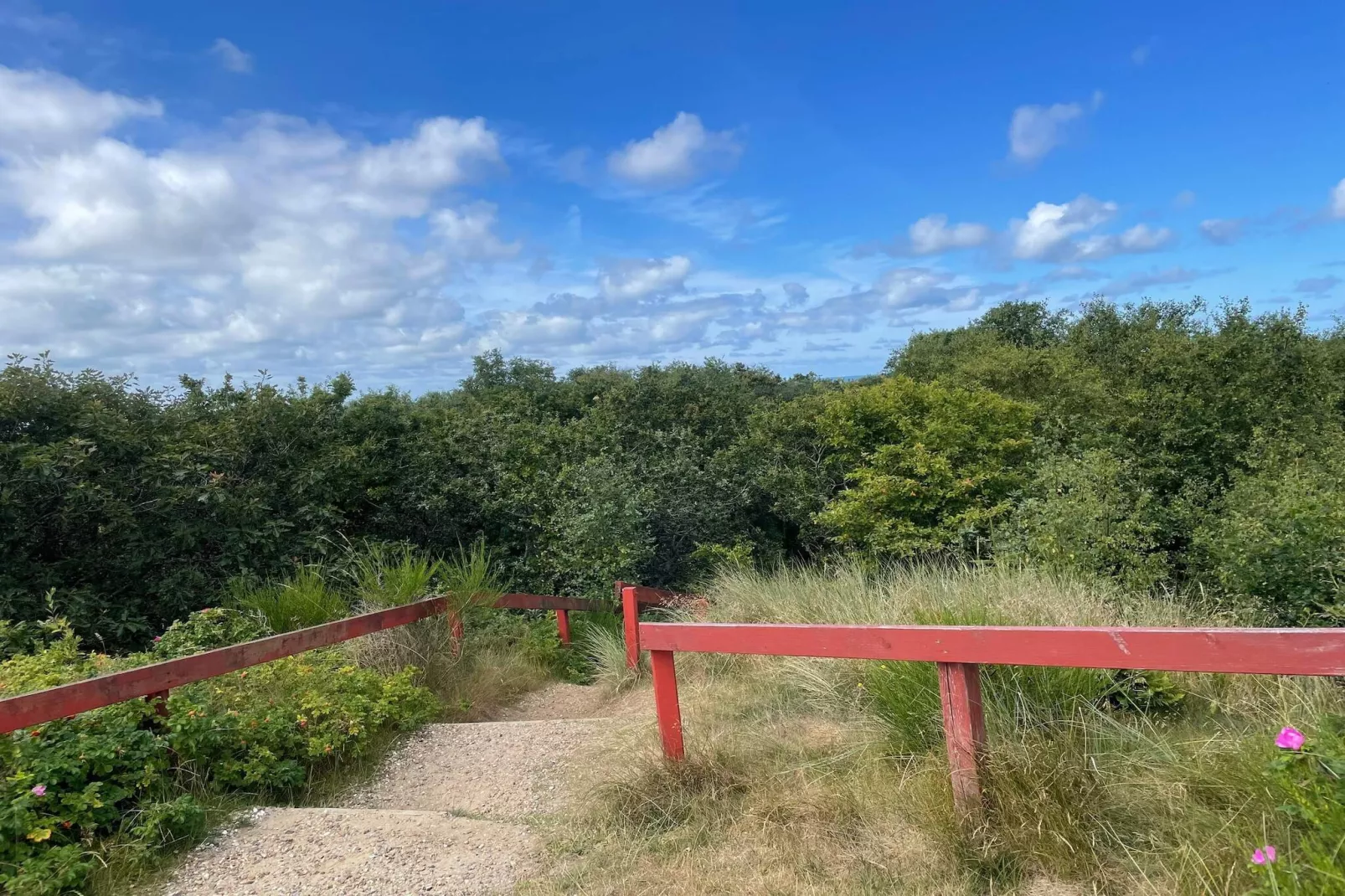 6 person holiday home in Henne-Untagged