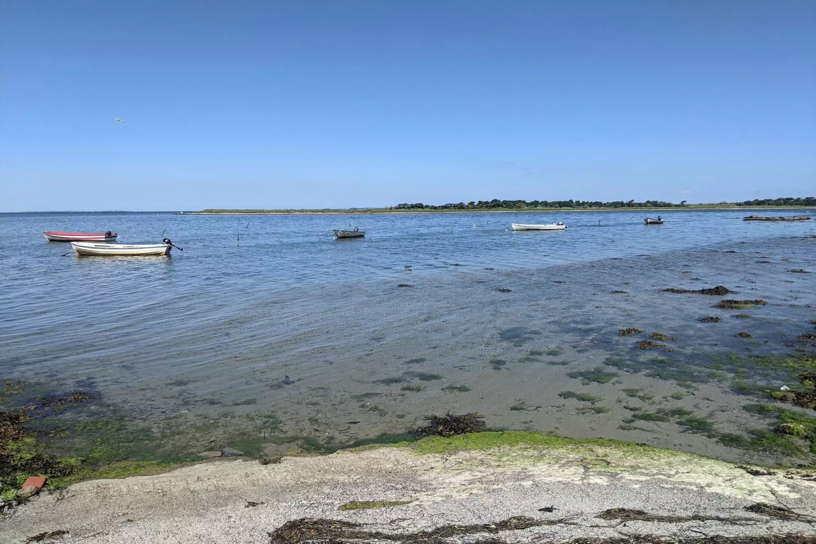 6 Personen Ferienhaus in Guldborg-By Traum-Wasserblick