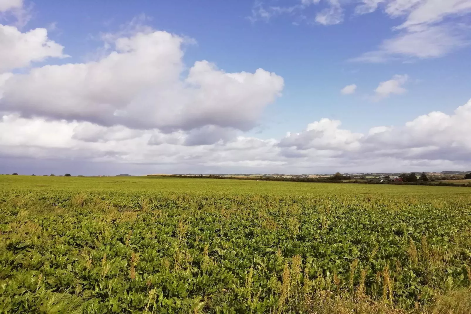 4 etoiles maison de vacances a Stege-By Traum