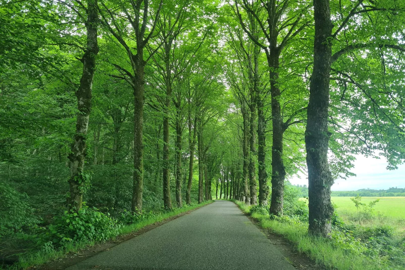 8 Personen Ferienhaus in Øster Assels-By Traum-Nicht zugeordnet