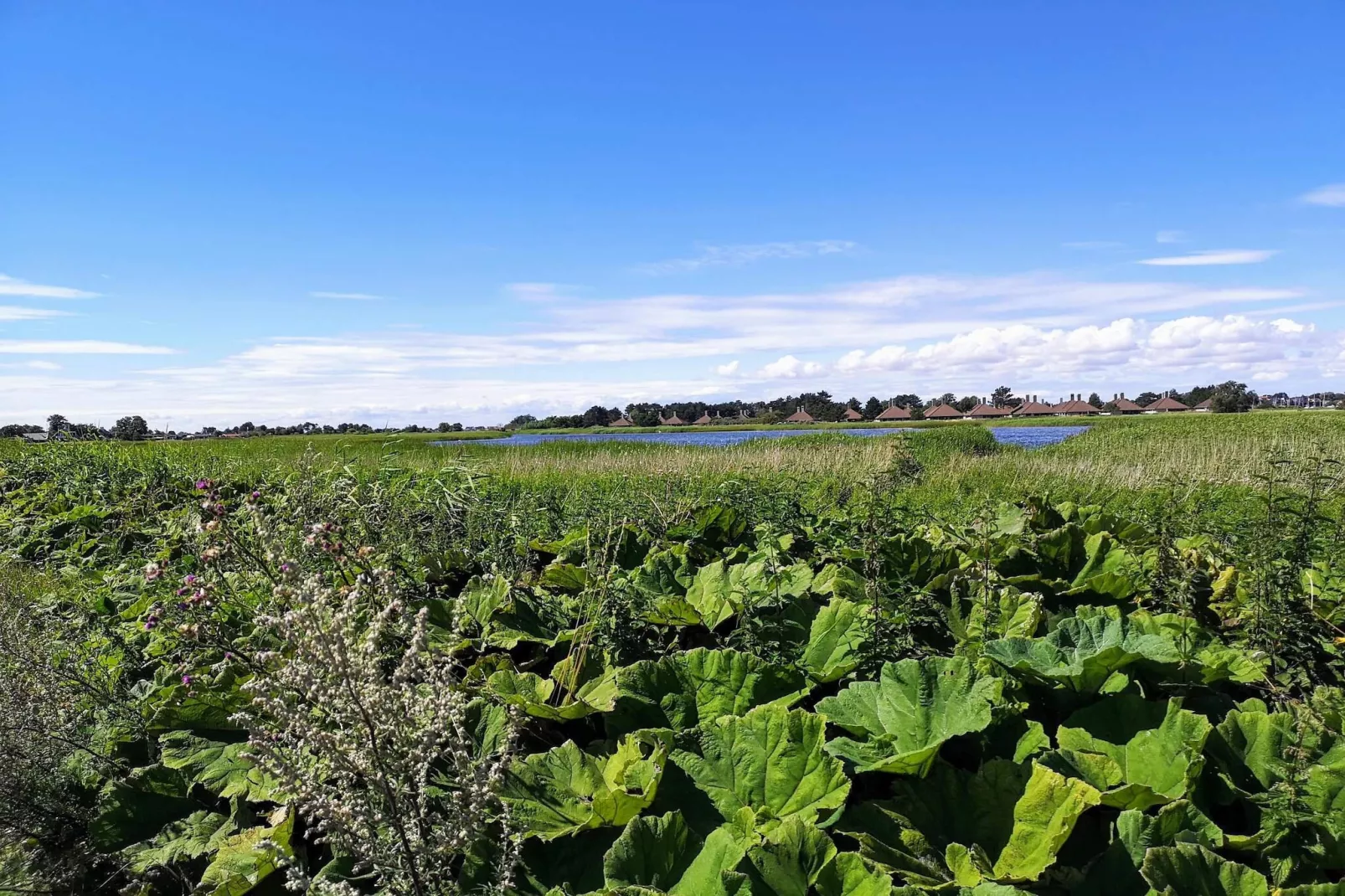 Cozy Seaside Retreat in Eno-By Traum-Untagged