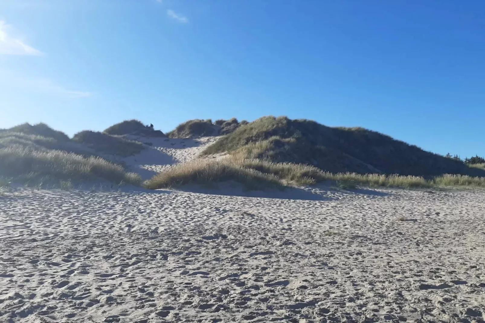 5 star holiday home in Ålbæk-By Traum-Untagged