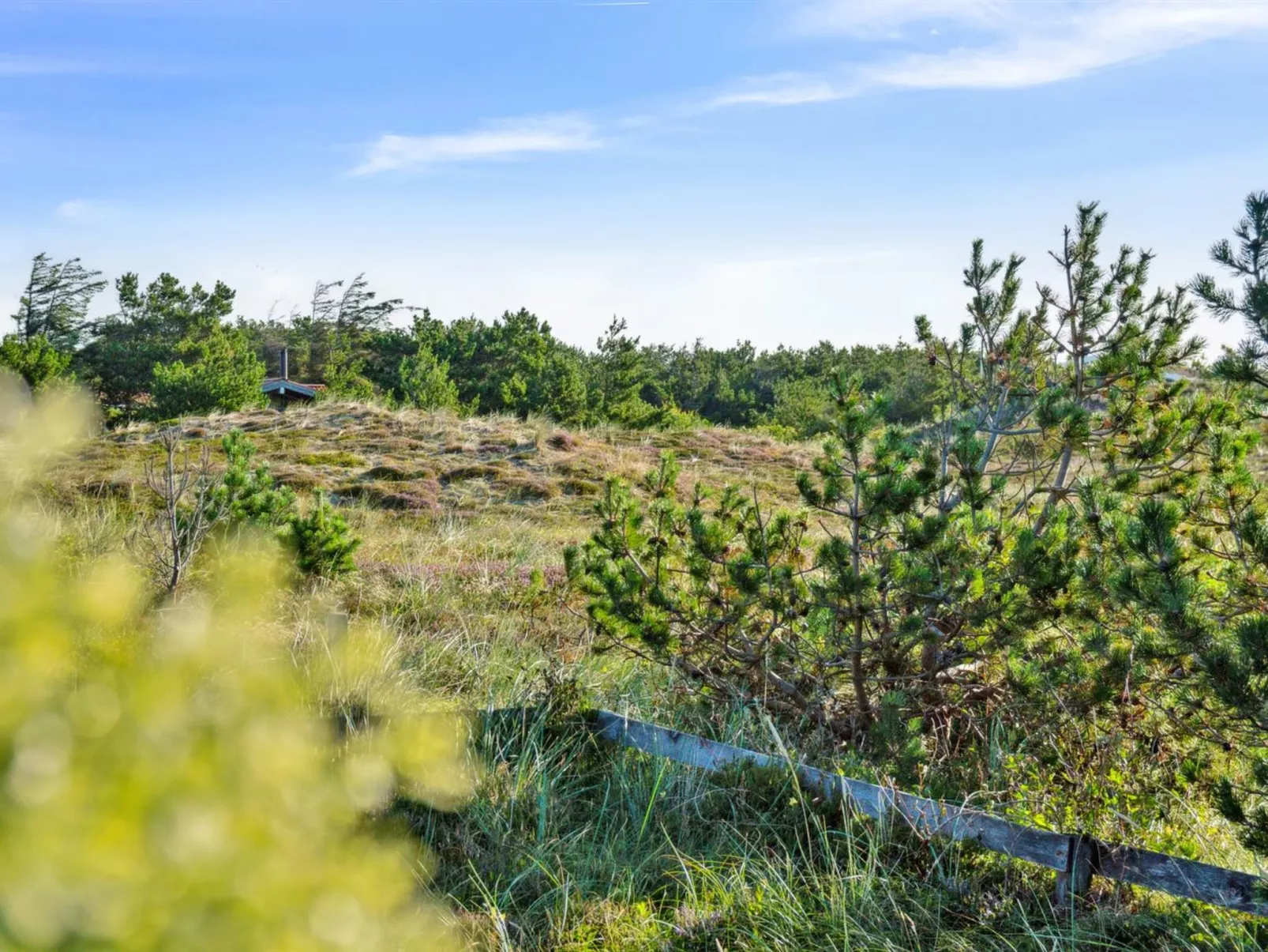 "Blaguna" - 600m from the sea