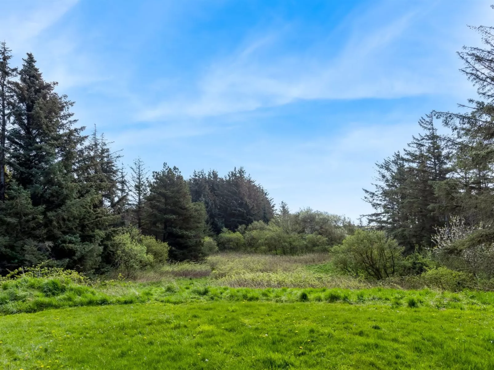 "Fränze" - 980m from the sea