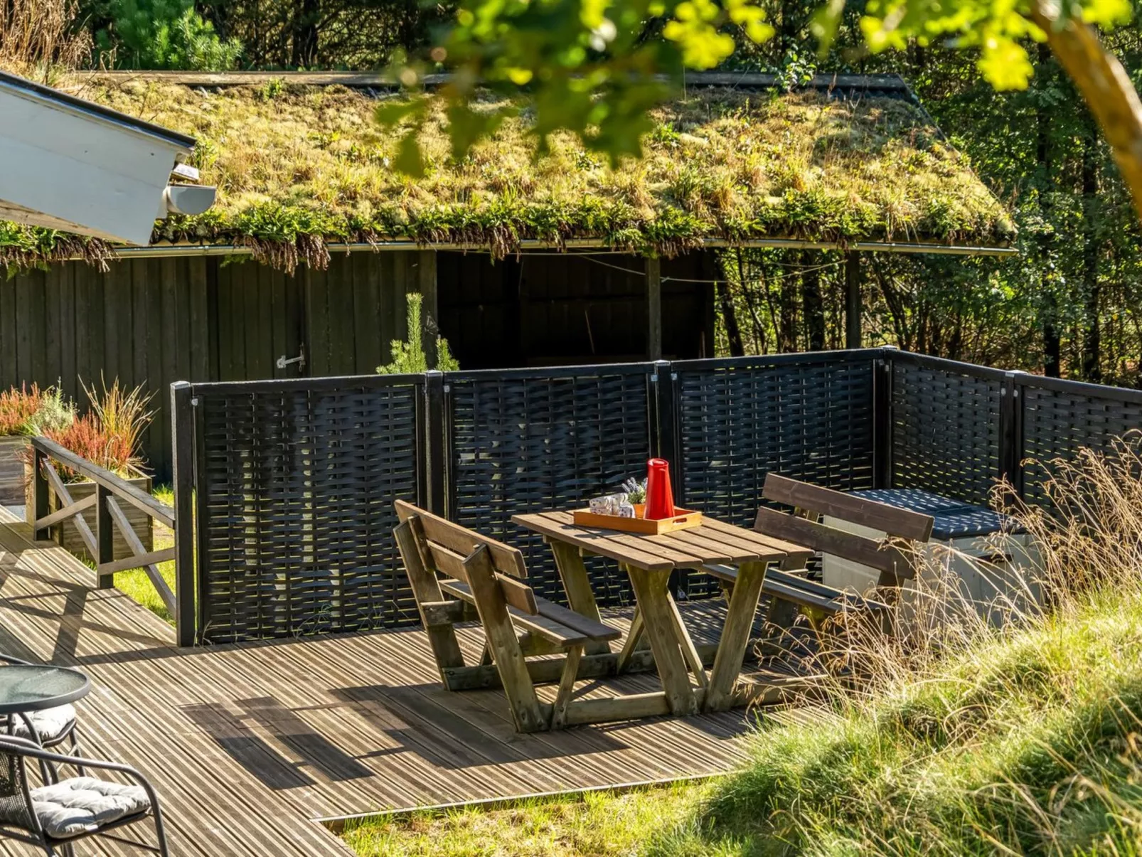 "Eimi" - 1.5km from the sea