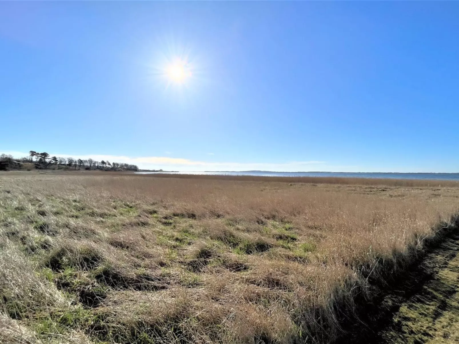 "Vemund" - 100m to the fjord