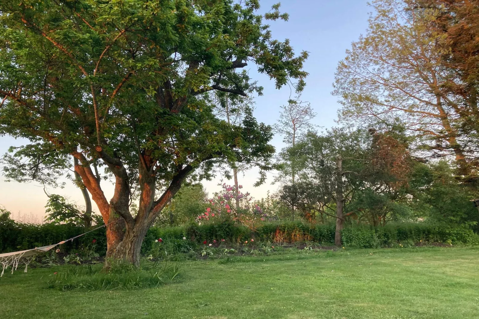 4 etoiles maison de vacances a Nordborg-Non tagué