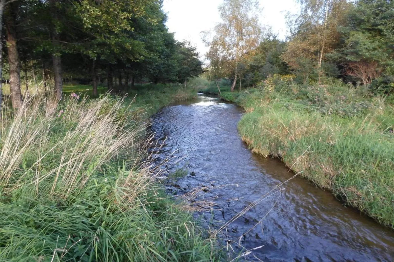 Domaine Des Messires 2-Areas within 1km in summer