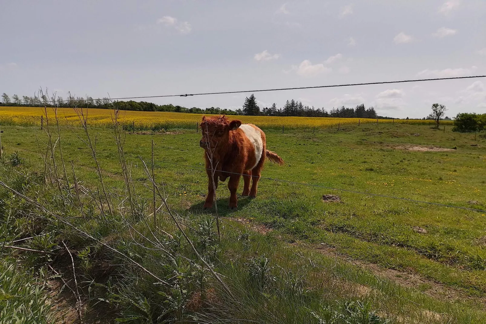 7 Personen Ferienhaus in Fjerritslev-By Traum