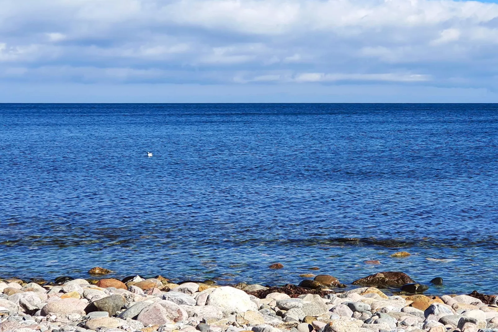 Maison de vacances pour 7 a Sjællands Odde-Vue sur l'eau