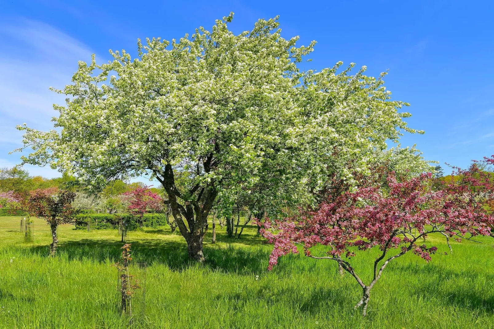 5 star holiday home in Frederikshavn-By Traum-Untagged