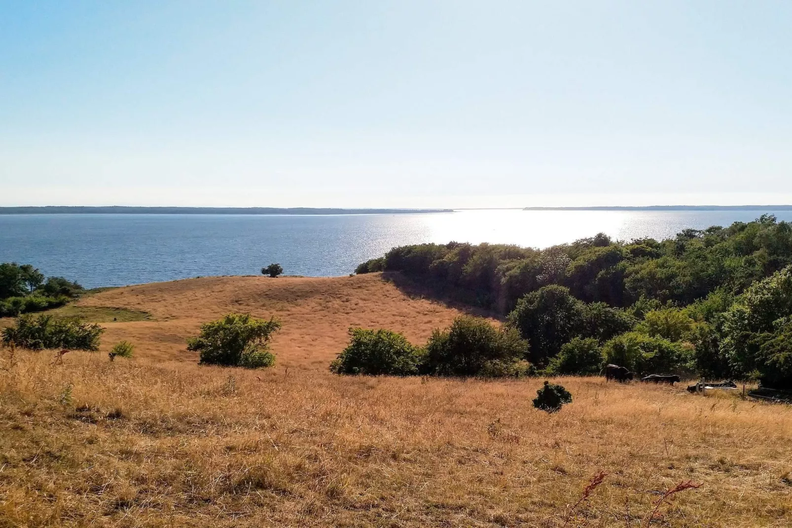 6 person holiday home in Frederiksværk-By Traum-Outdoor