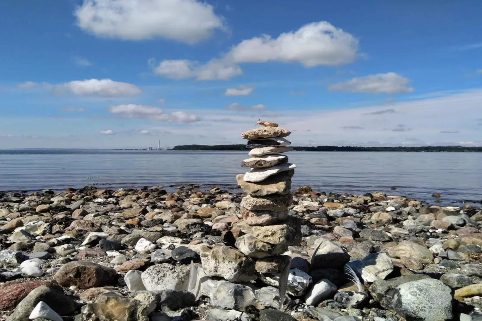 4 etoiles maison de vacances a Rønde-By Traum-Vue sur l'eau