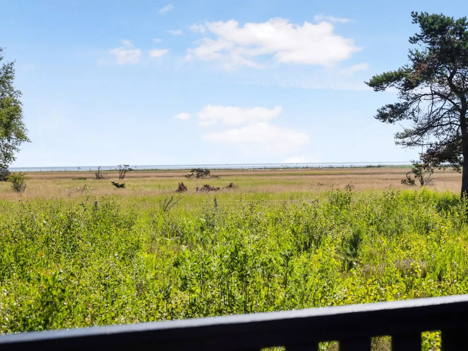 "Griselda" - 400m from the sea