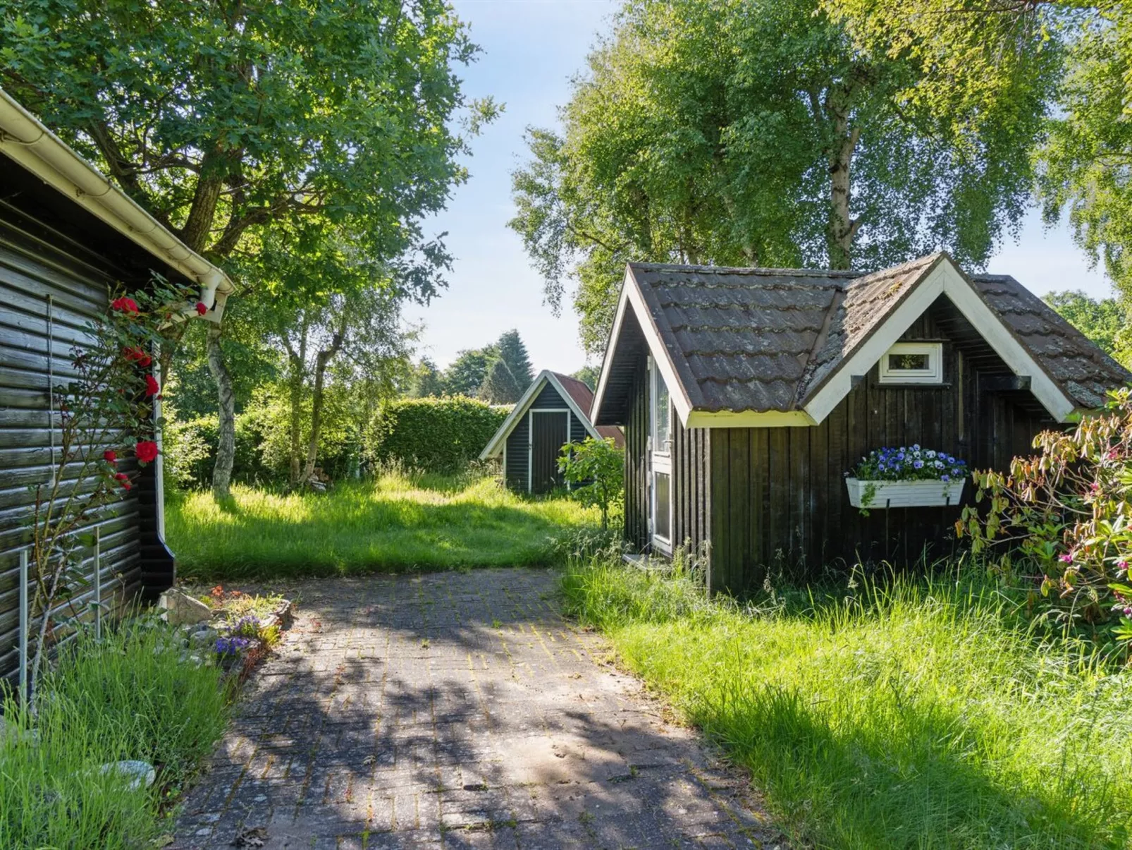 "Fedder" - 650m from the sea