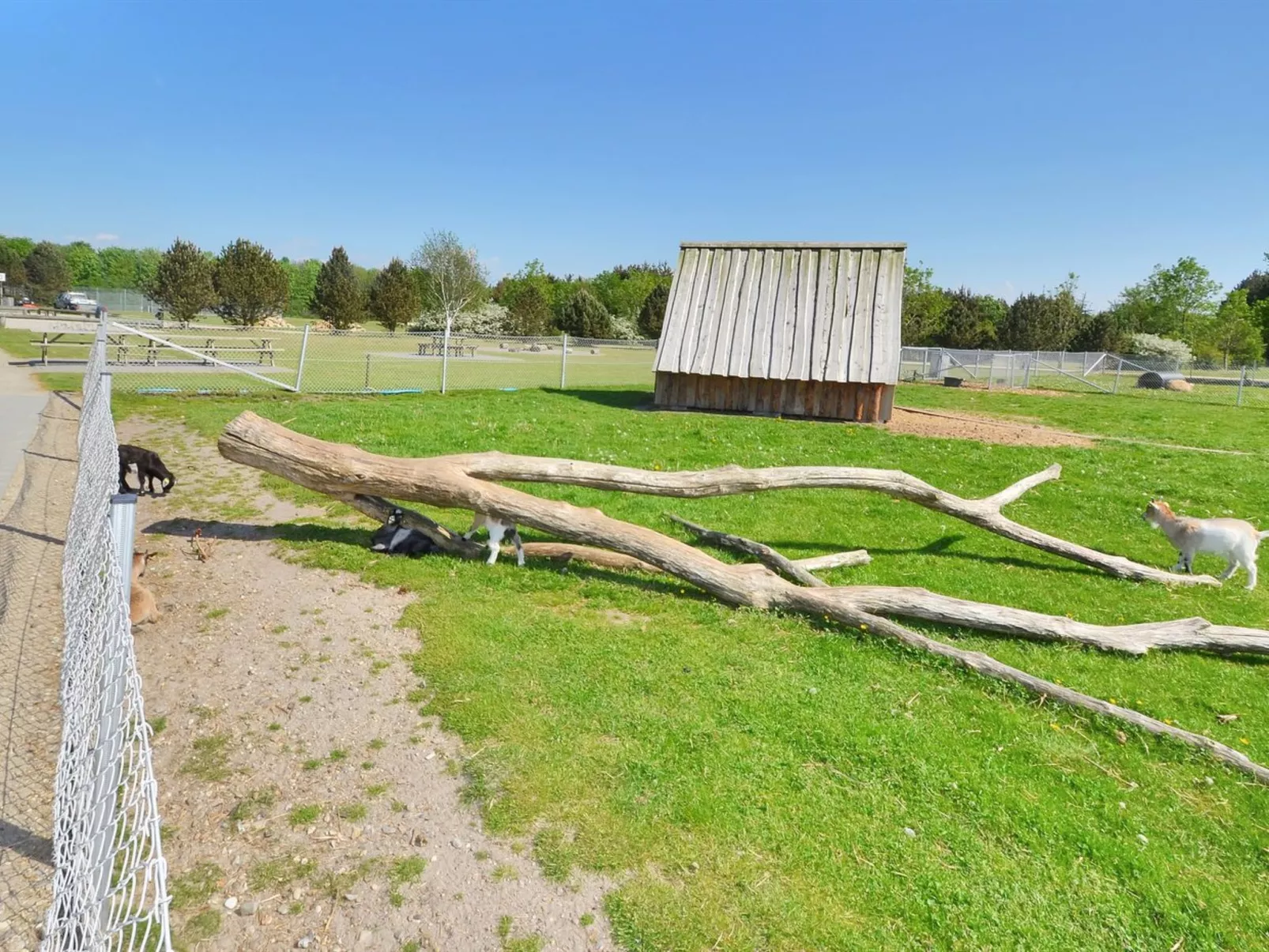 "Aviaja" - 12km from the sea-Draußen