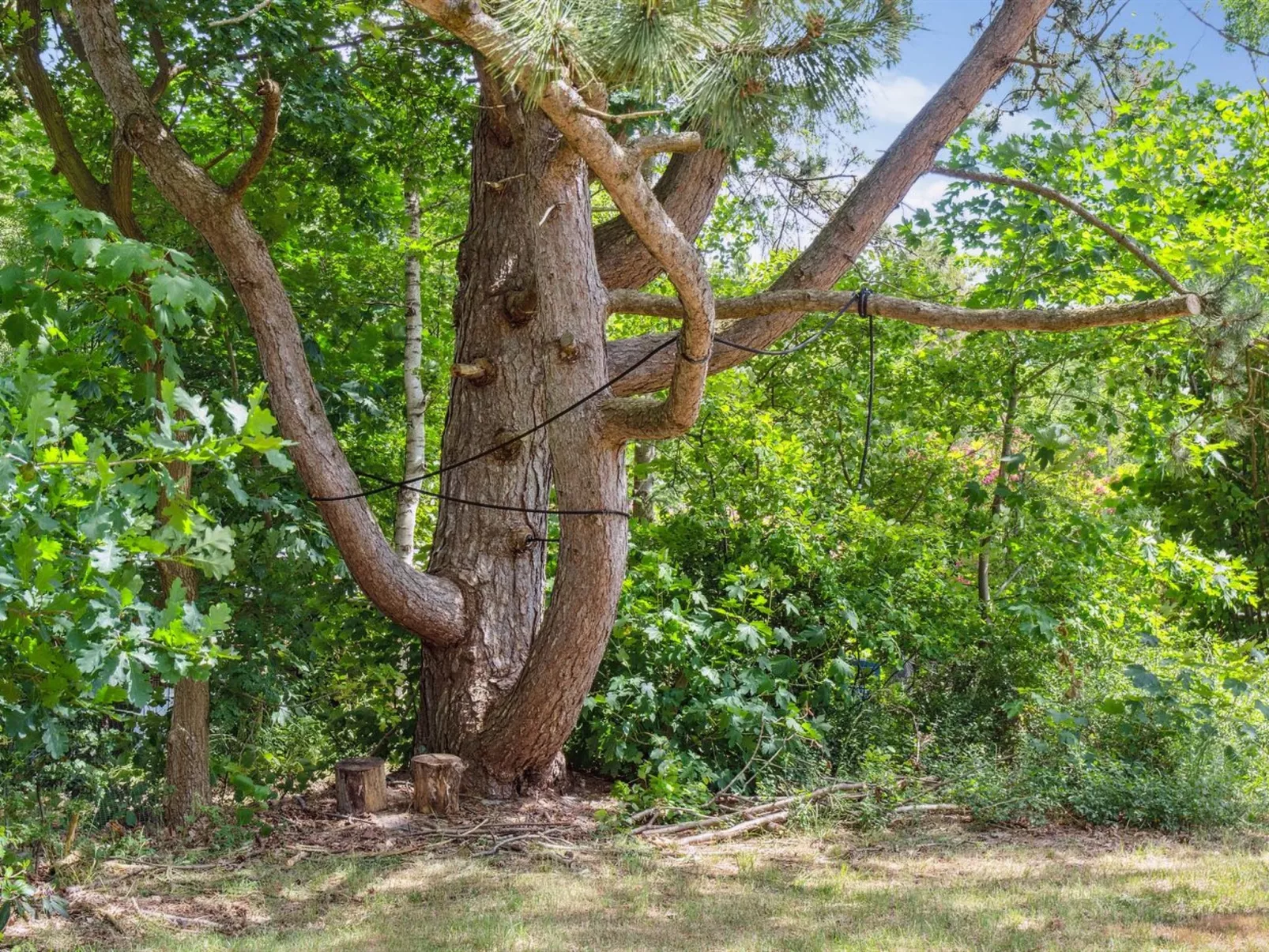 "Heidl" - 1.3km to the fjord