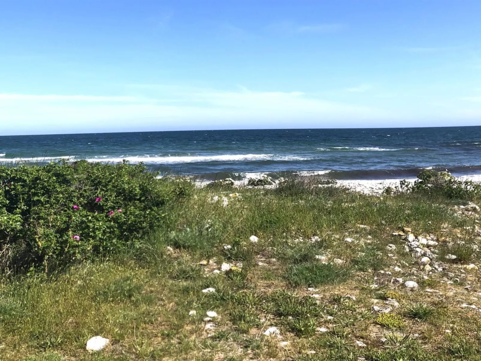 "Tuulikki" - 100m from the sea