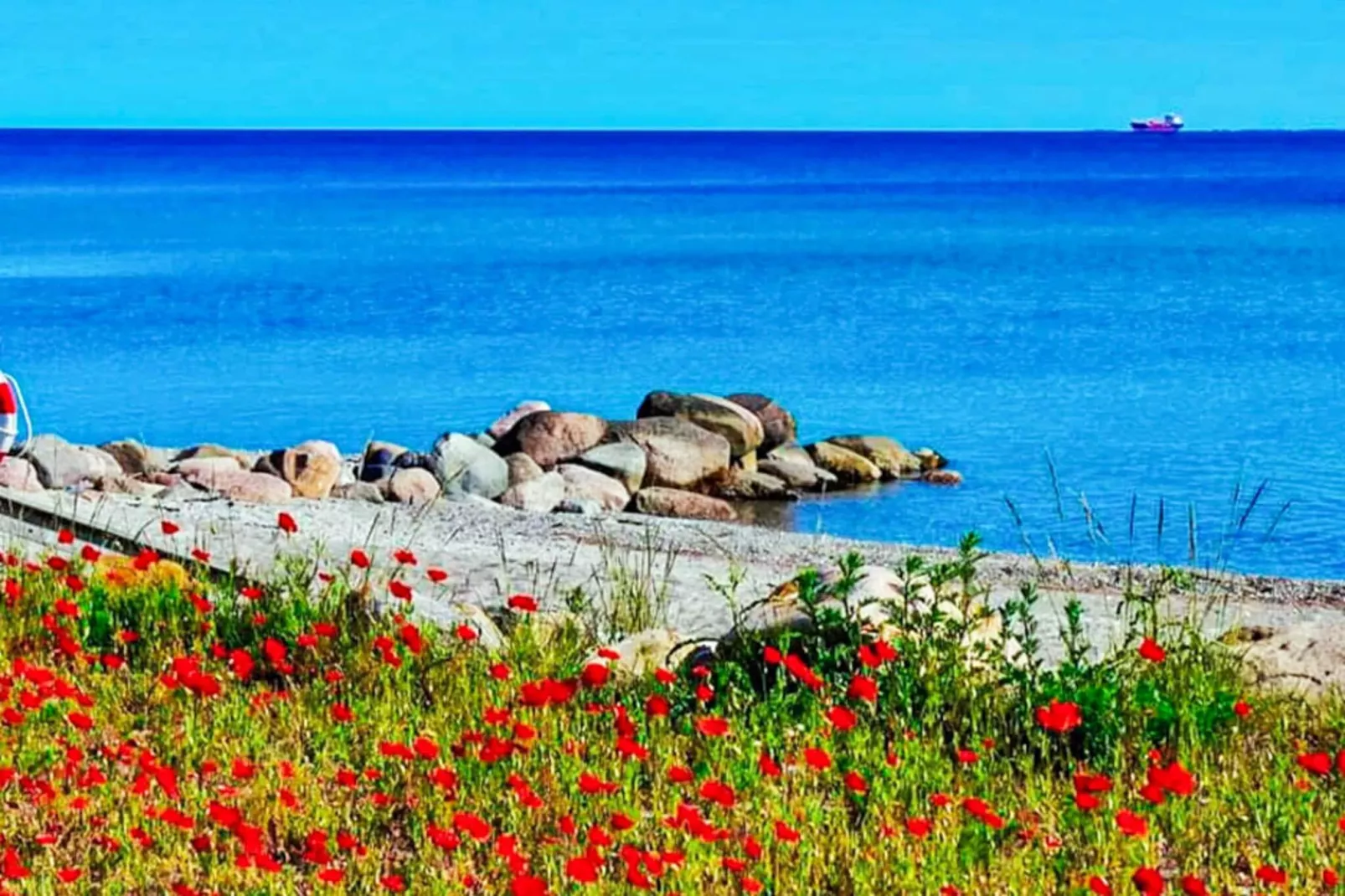 Maison de vacances pour 6 a Otterup-By Traum-Vue sur l'eau