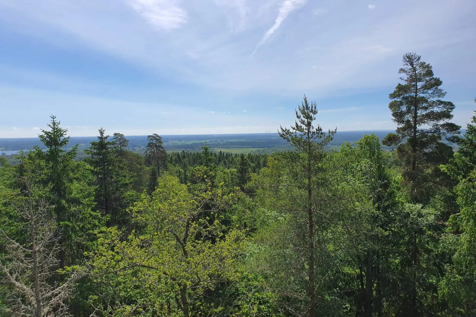 4 Personen Ferienhaus in DALS ROSTOCK-Nicht zugeordnet