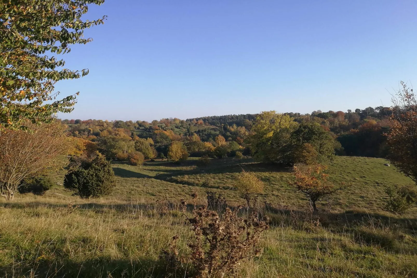 4 etoiles maison de vacances a Gärsnäs-Non tagué