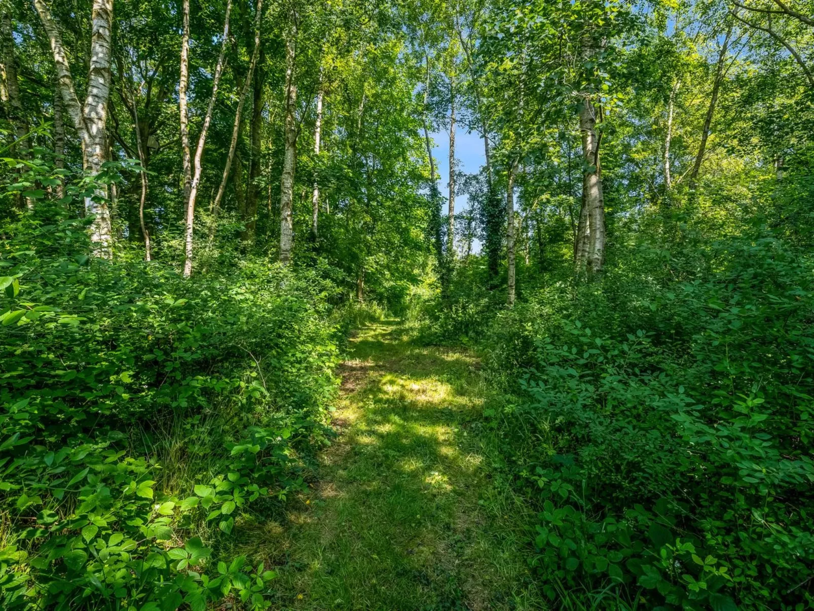 "Patrice" - 300m from the sea