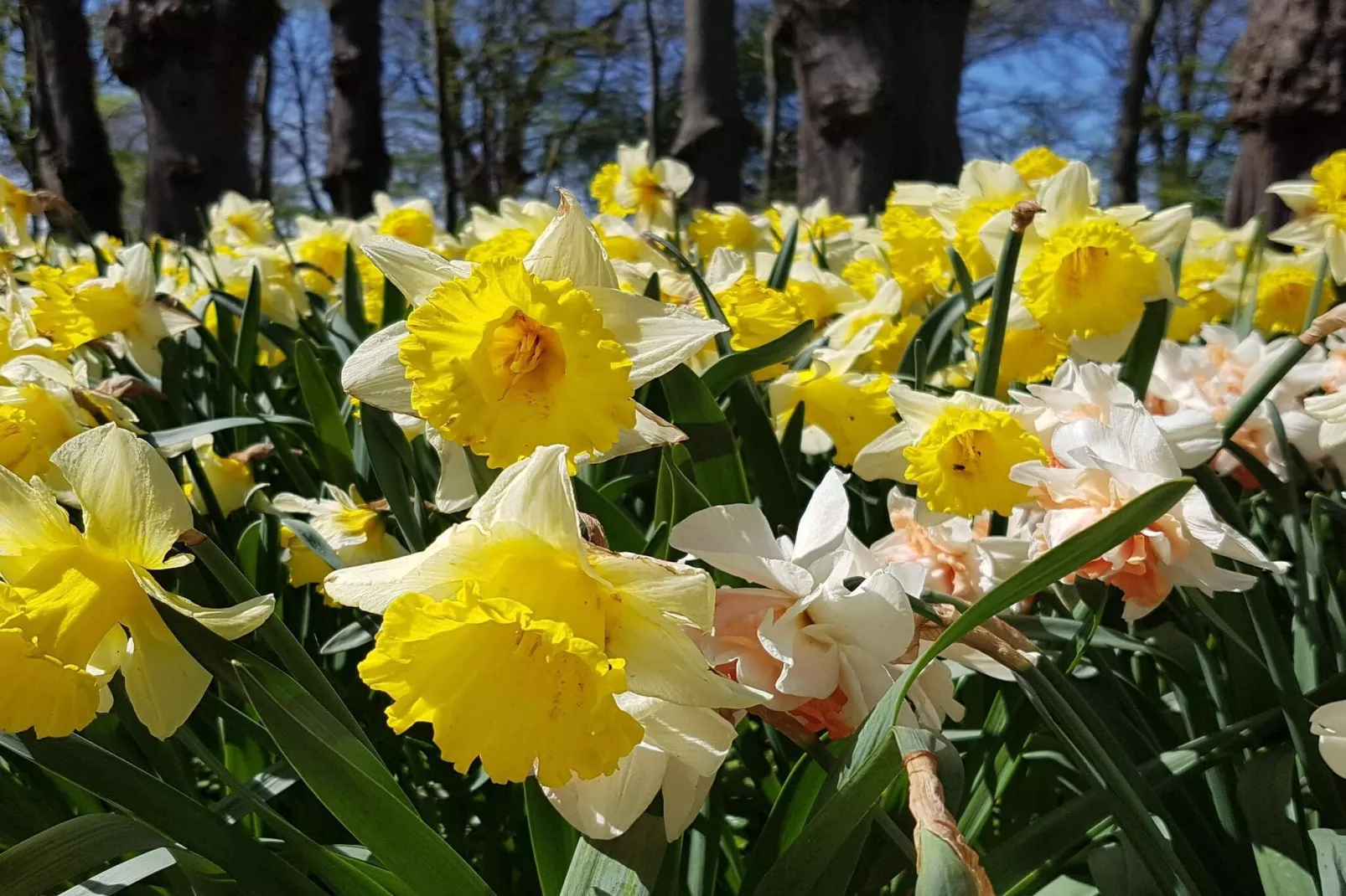 Charming Retreat on Eno - By Traum Ferienwohnungen