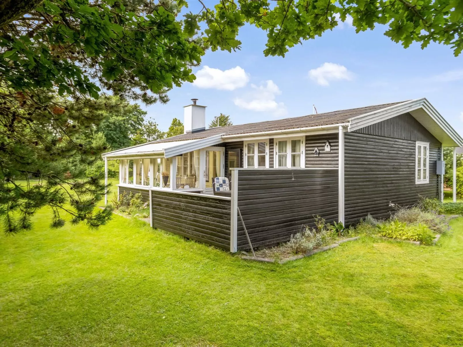 "Roque" -  from the sea