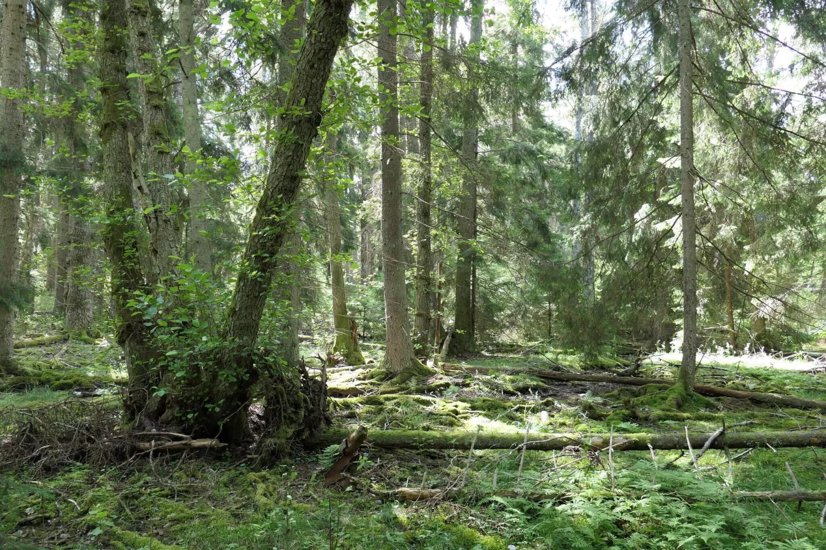 4 etoiles maison de vacances a VÄRMDÖ-Non tagué