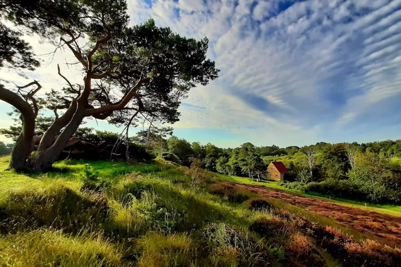 Cozy Retreat in Rageleje - By Traum Ferienwohnungen-Untagged