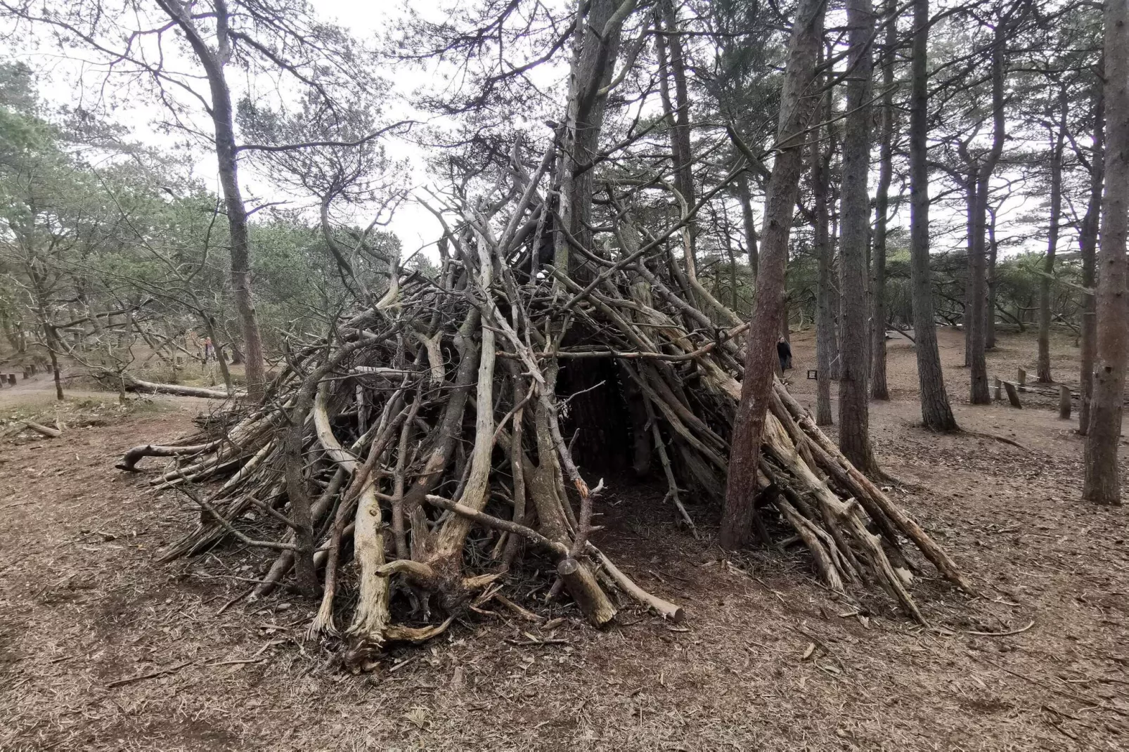 5 etoiles maison de vacances a Rømø-Non tagué