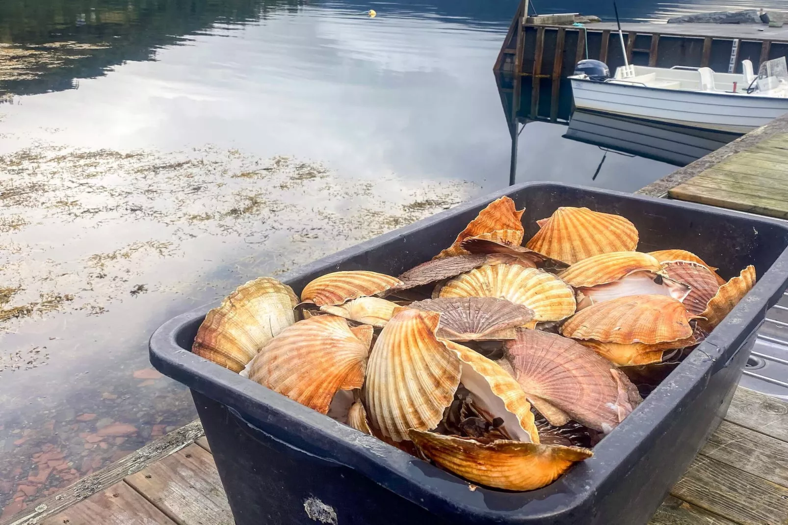 Maison de vacances pour 12 a Davik-Non tagué