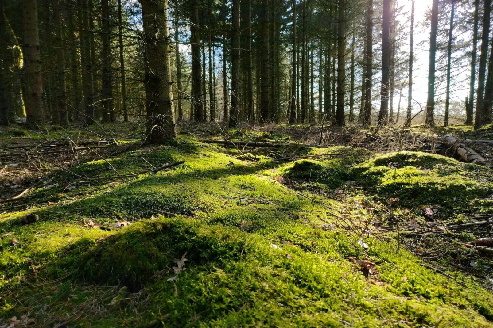 6 person holiday home in Give-By Traum-Untagged