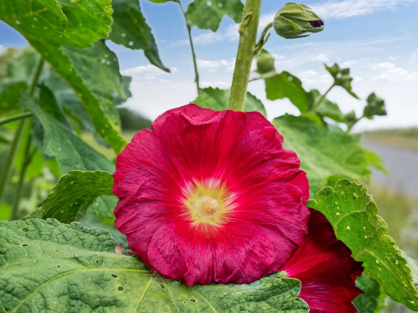 "Ejna" - 400m from the sea