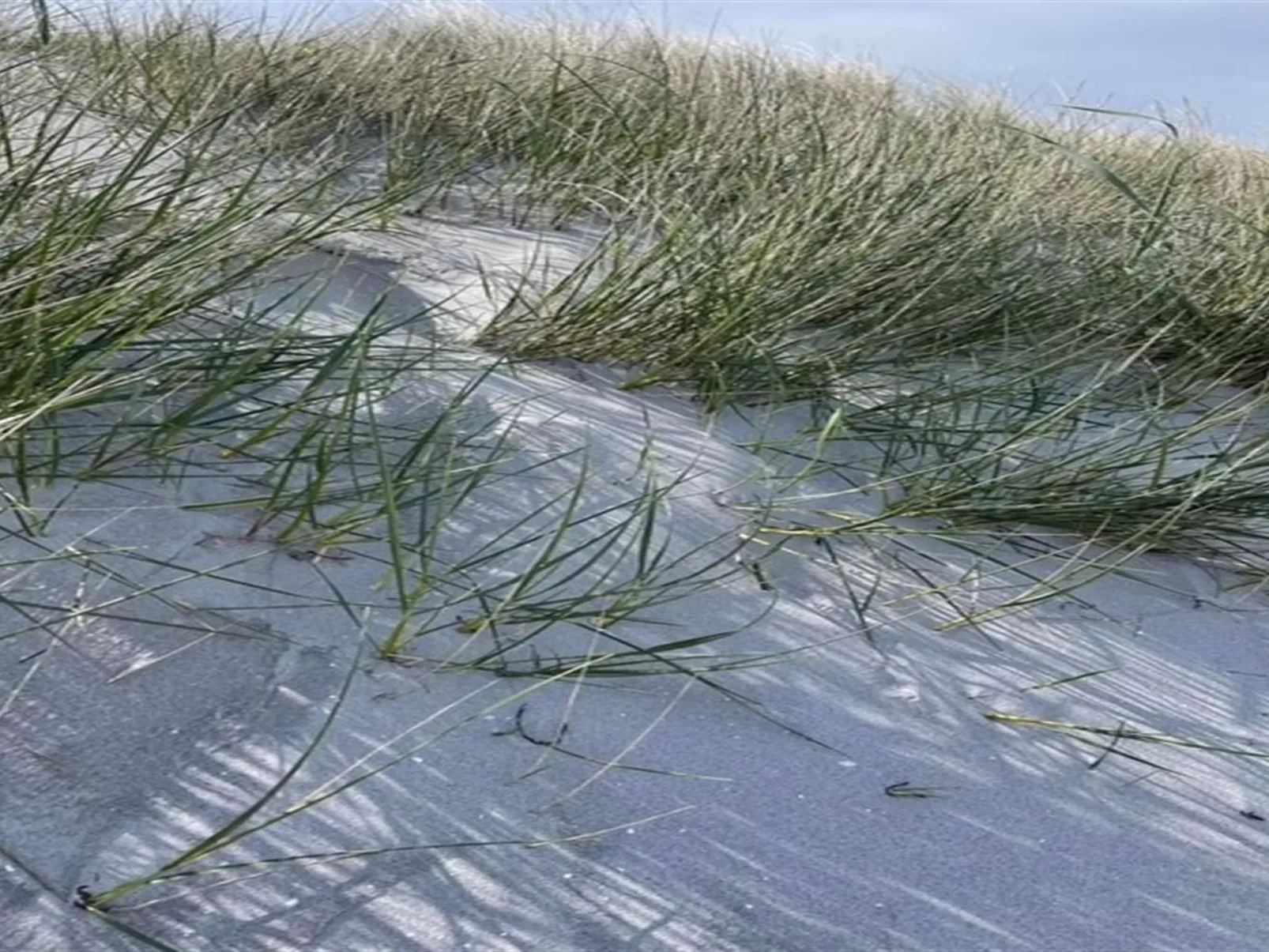 "Frederikka" - 1.9km from the sea