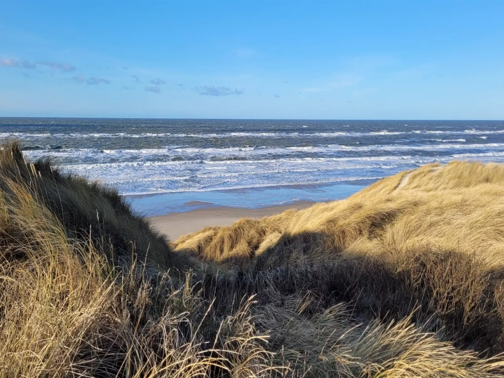 "Heralde" - 60m from the sea