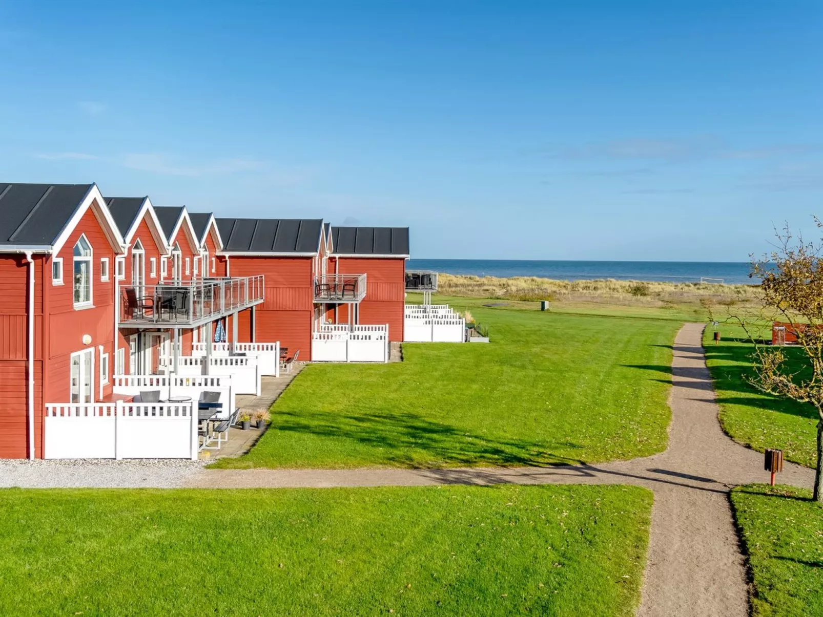 "Vincent" -  from the sea