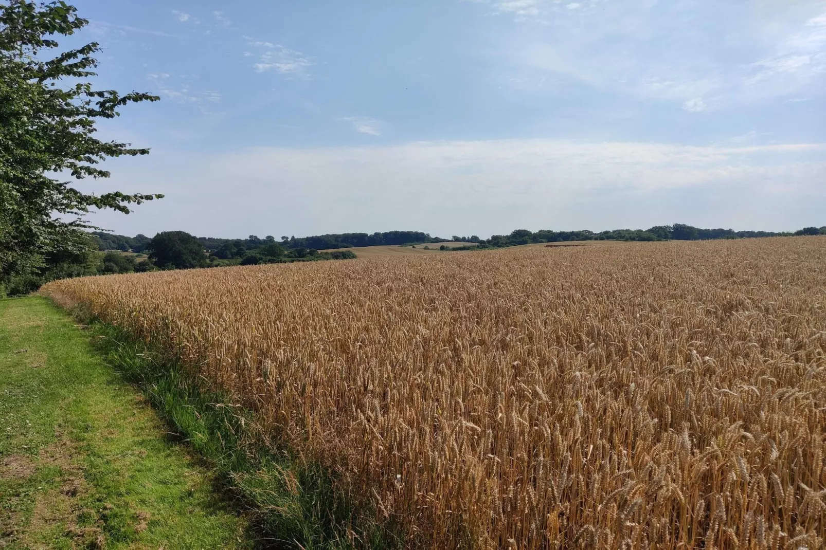 Well-maintained holiday home in Faborg-Untagged