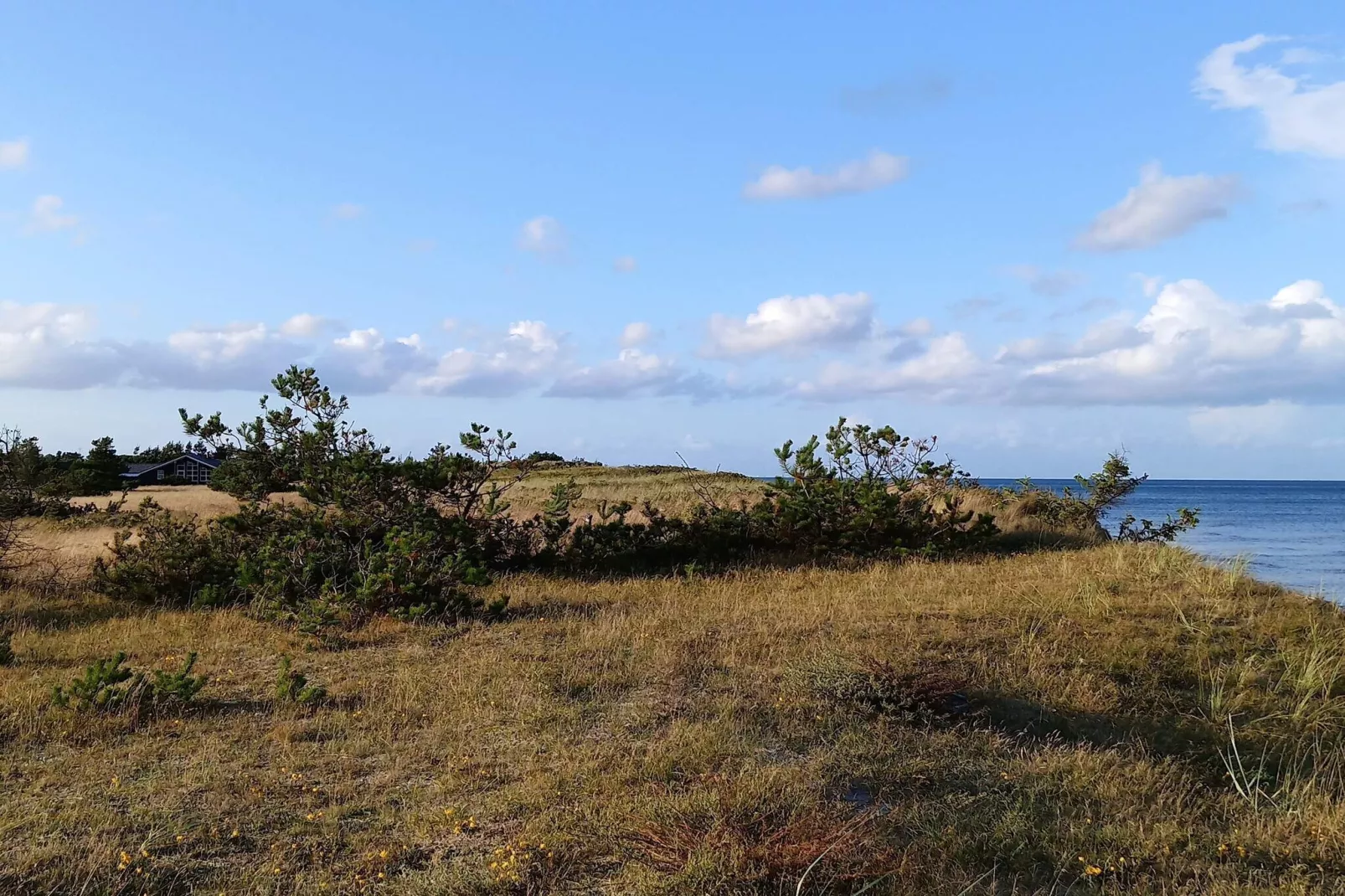 Havre paisible a Lyngsa -- By Traum Ferienwohnungen