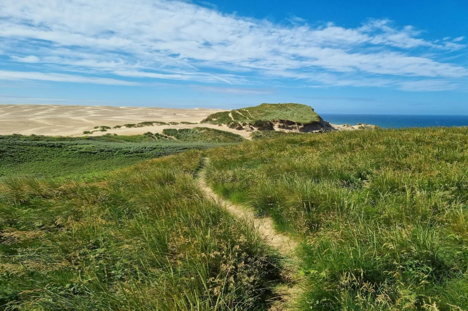 5 etoiles maison de vacances a Løkken-Non tagué