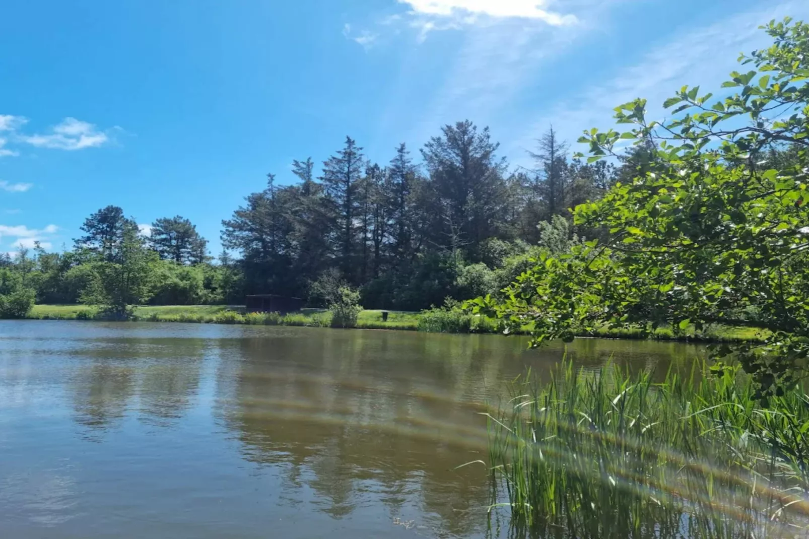 4 Sterne Ferienhaus in Løkken