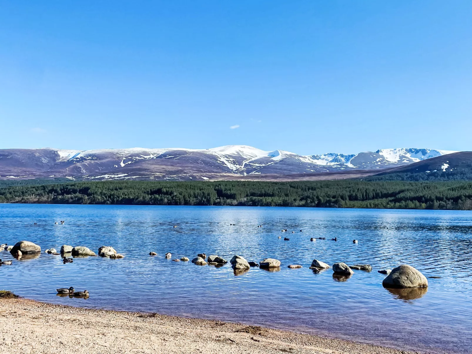 Cairn View-Environnement